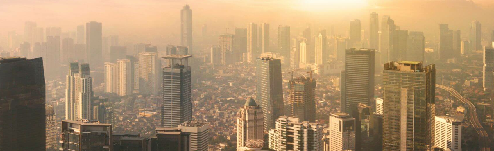 Indonesiens ultimative Primatensafari
