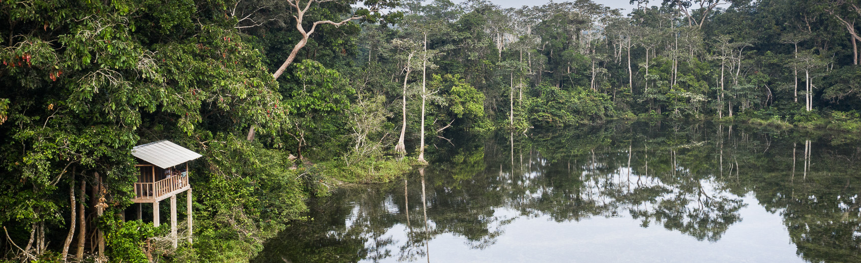 Mbeli Camp