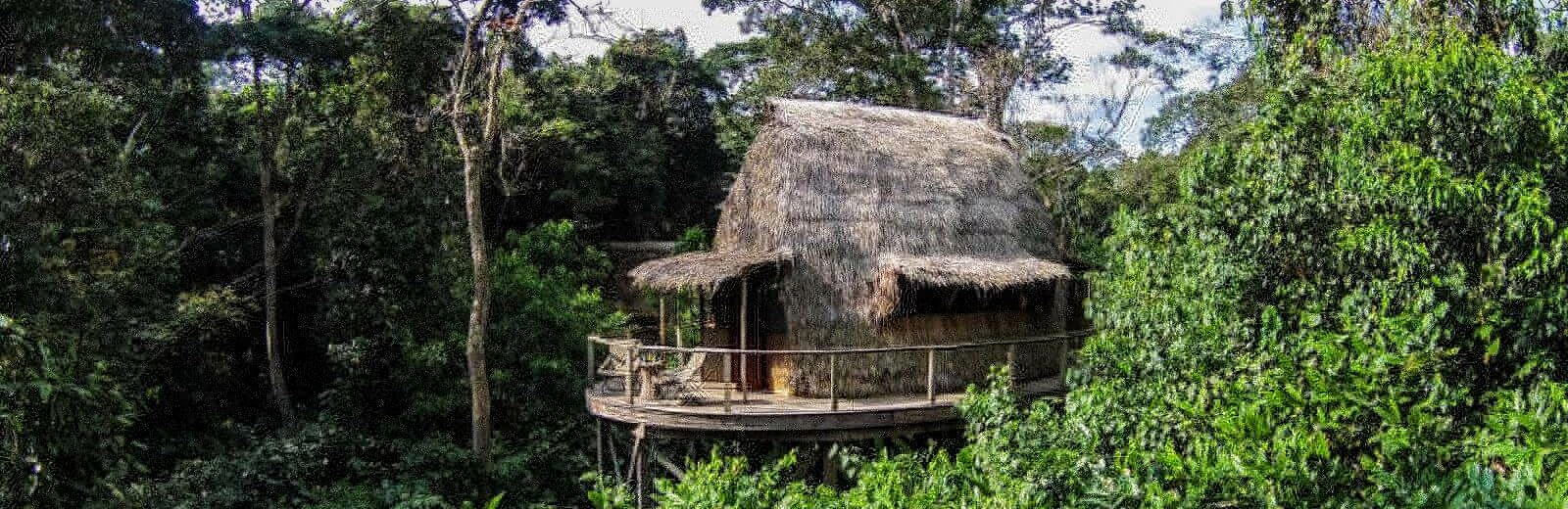 Ngaga Camp