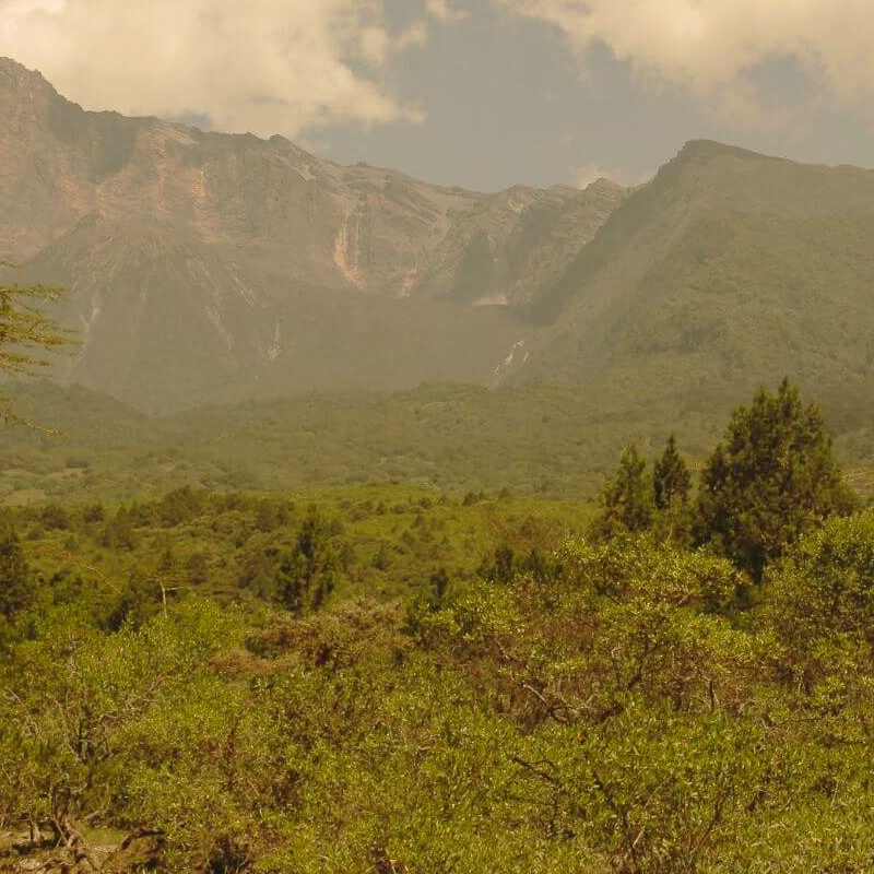 Arusha-Nationalpark