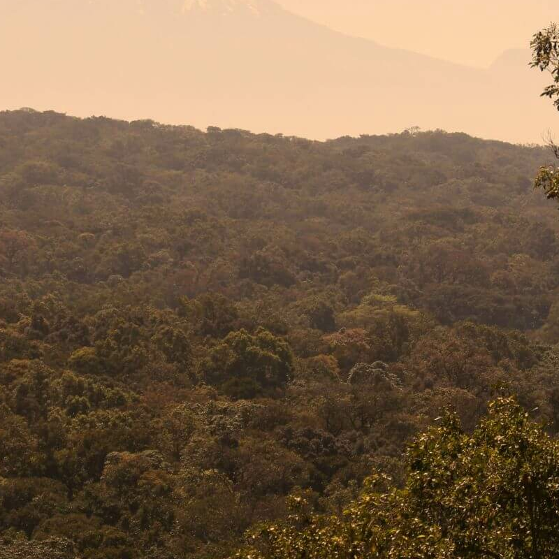 Arusha-Nationalpark