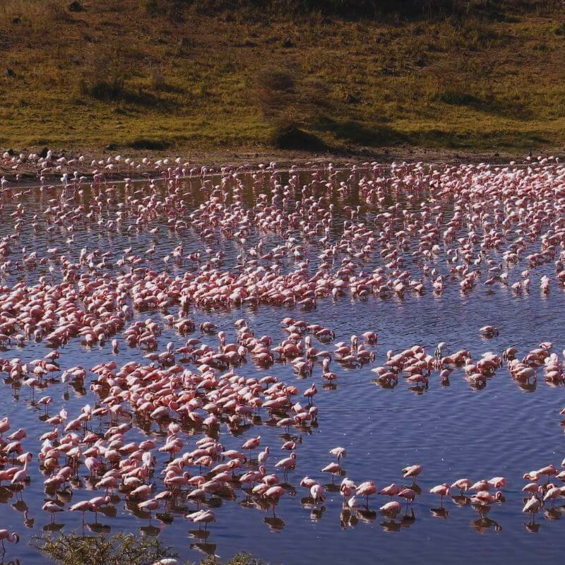Arusha-Nationalpark