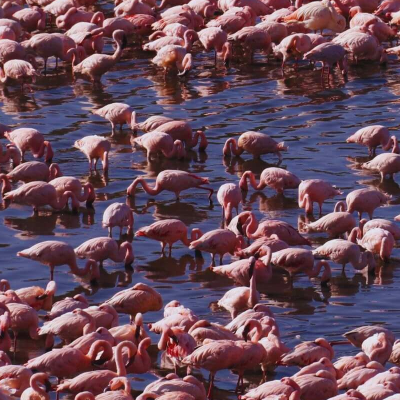 Arusha-Nationalpark