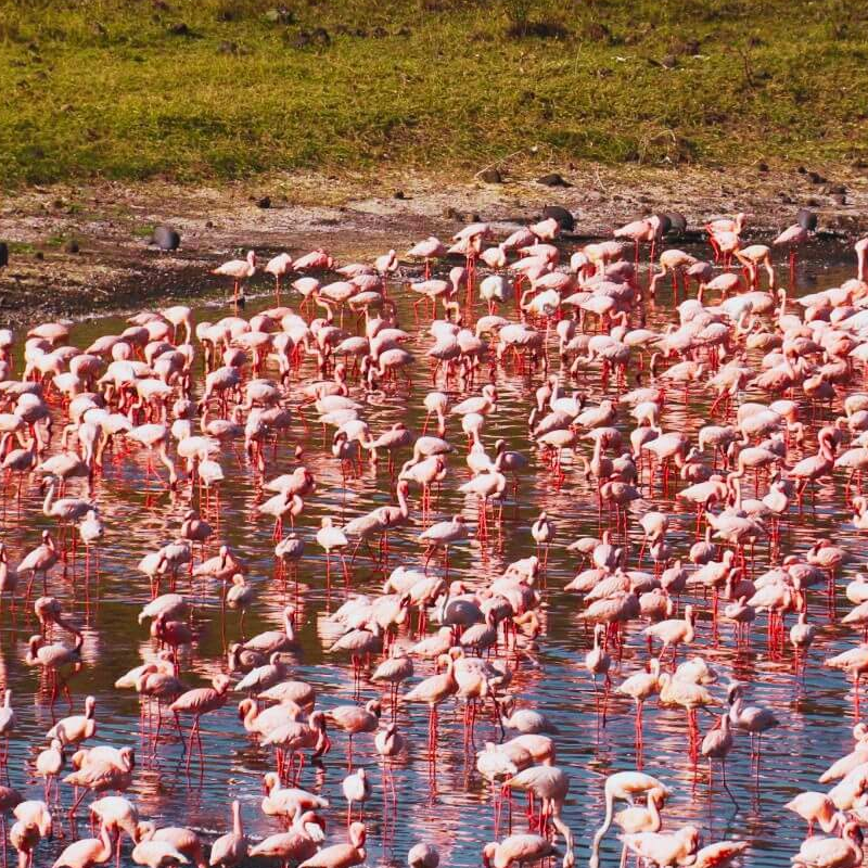 Arusha-Nationalpark
