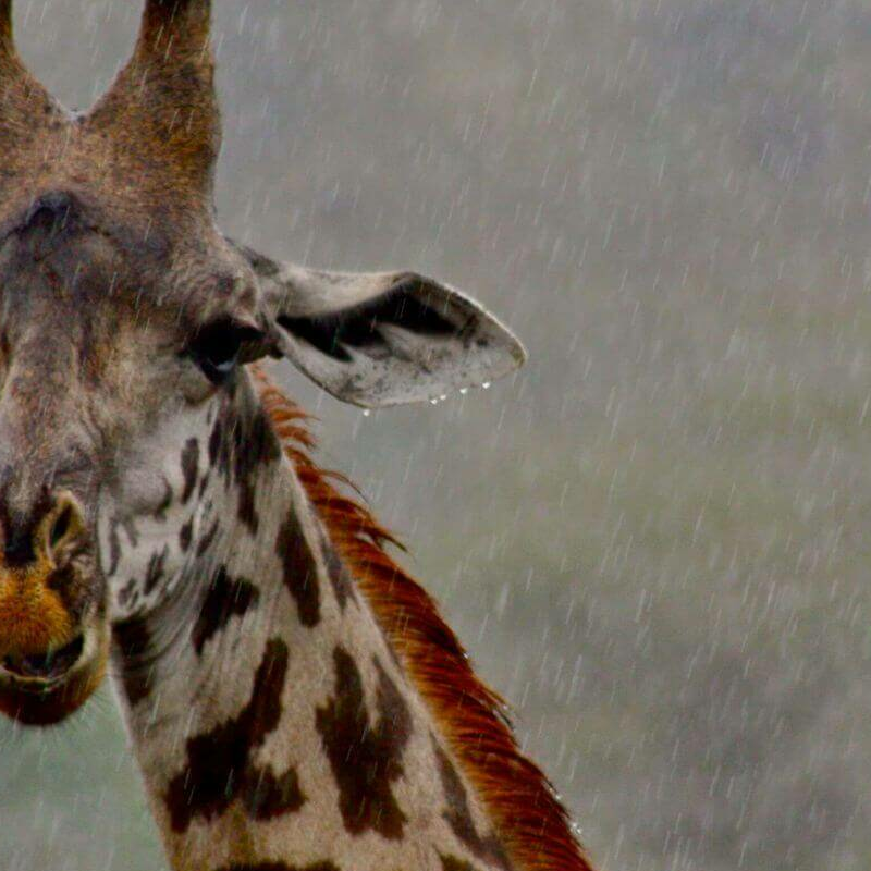Arusha-Nationalpark