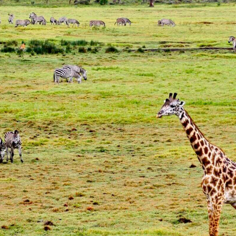 Arusha-Nationalpark