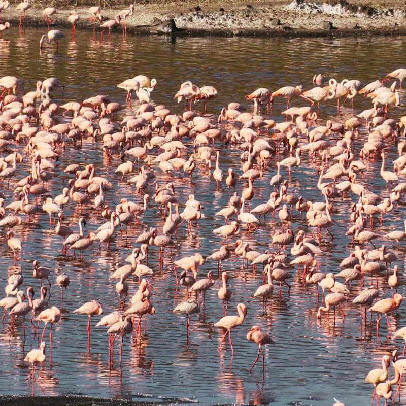 Arusha-Nationalpark