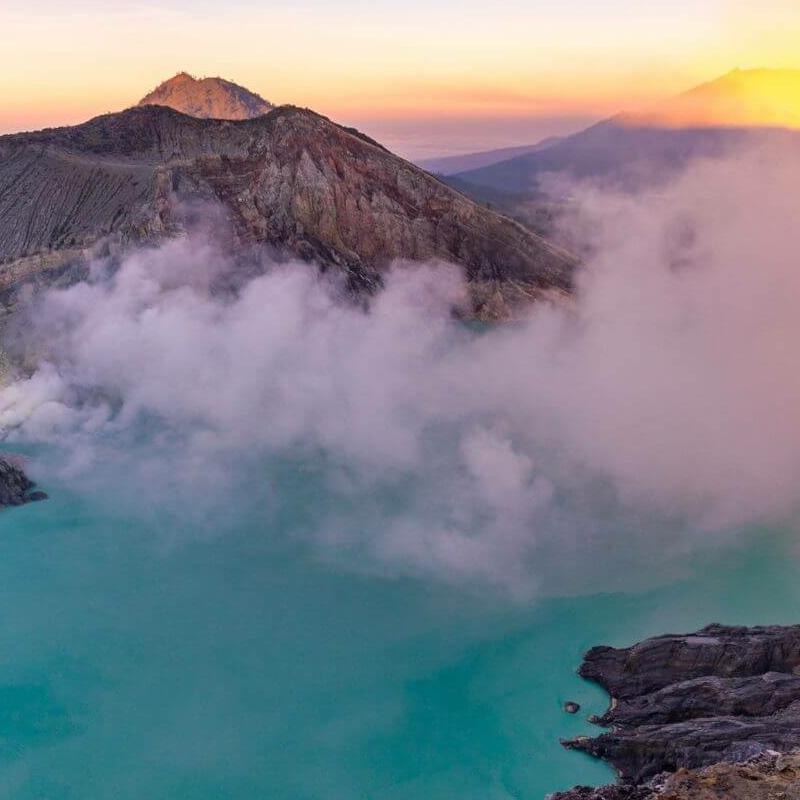 Indonesiens ultimative Primatensafari