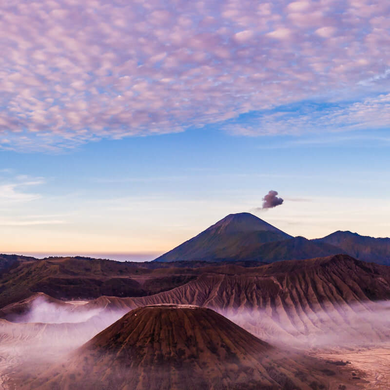 Indonesiens ultimative Primatensafari