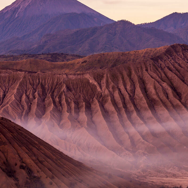 Indonesiens ultimative Primatensafari