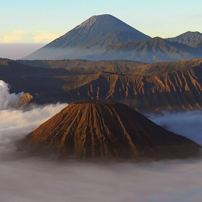 Indonesiens ultimative Primatensafari