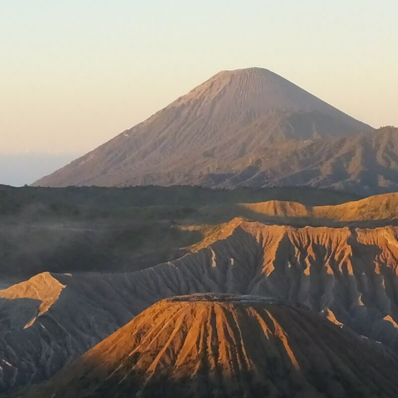 Indonesiens ultimative Primatensafari