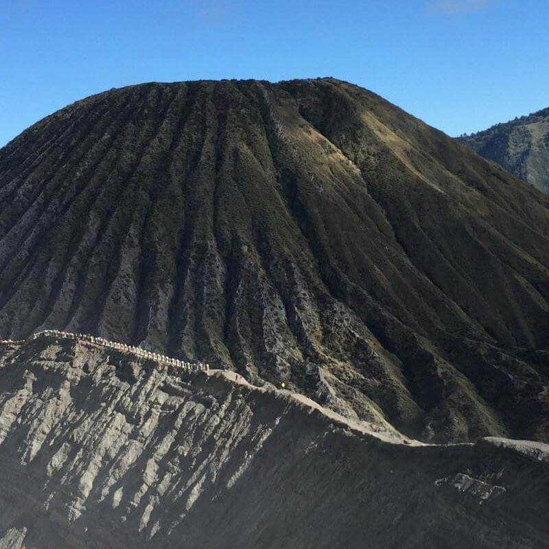 Indonesiens ultimative Primatensafari
