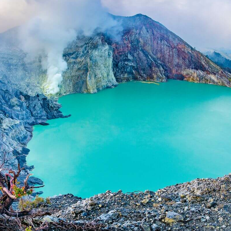 Indonesiens ultimative Primatensafari