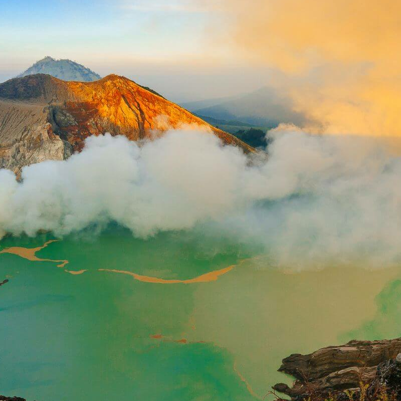 Indonesiens ultimative Primatensafari