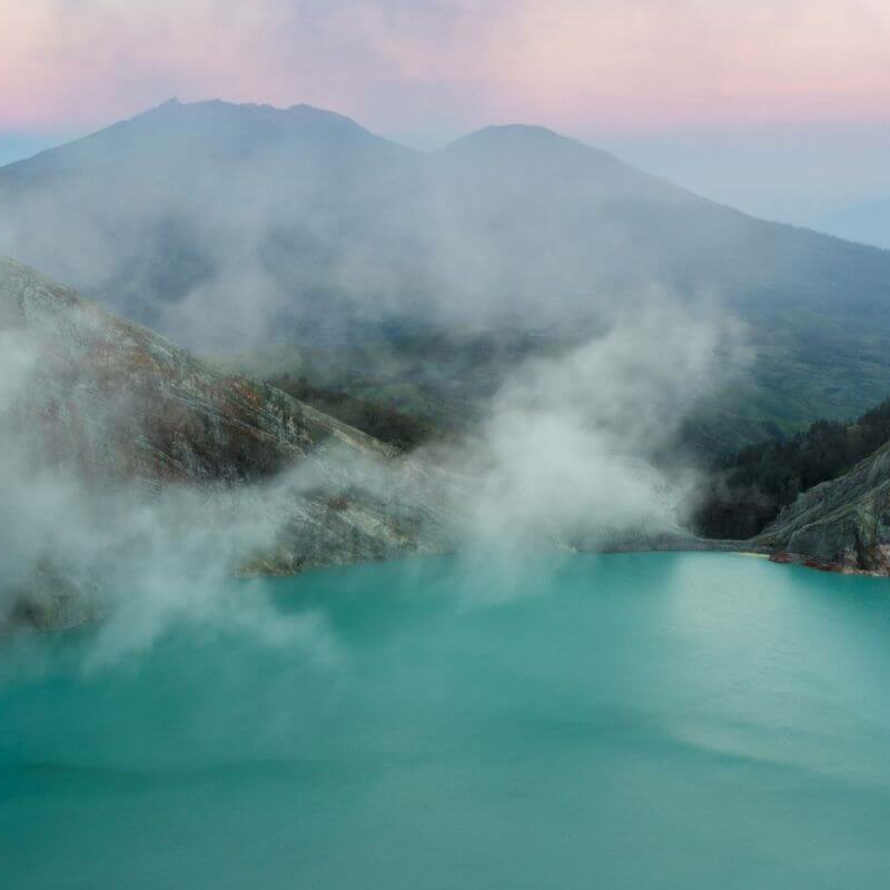 Indonesiens ultimative Primatensafari