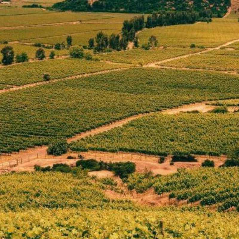 Chile Weinregion