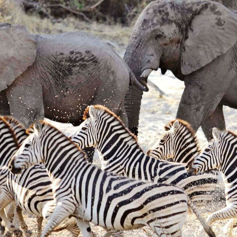 Makgadikgadi Pans