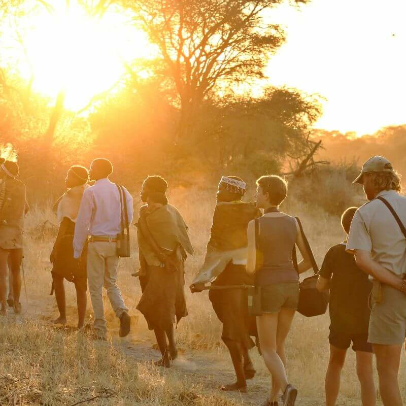 Makgadikgadi Pans