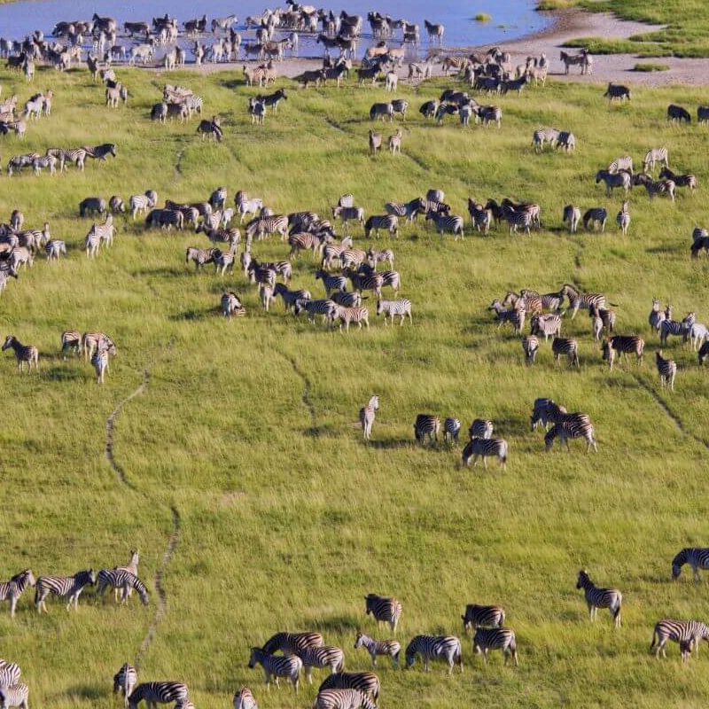 Makgadikgadi Pans