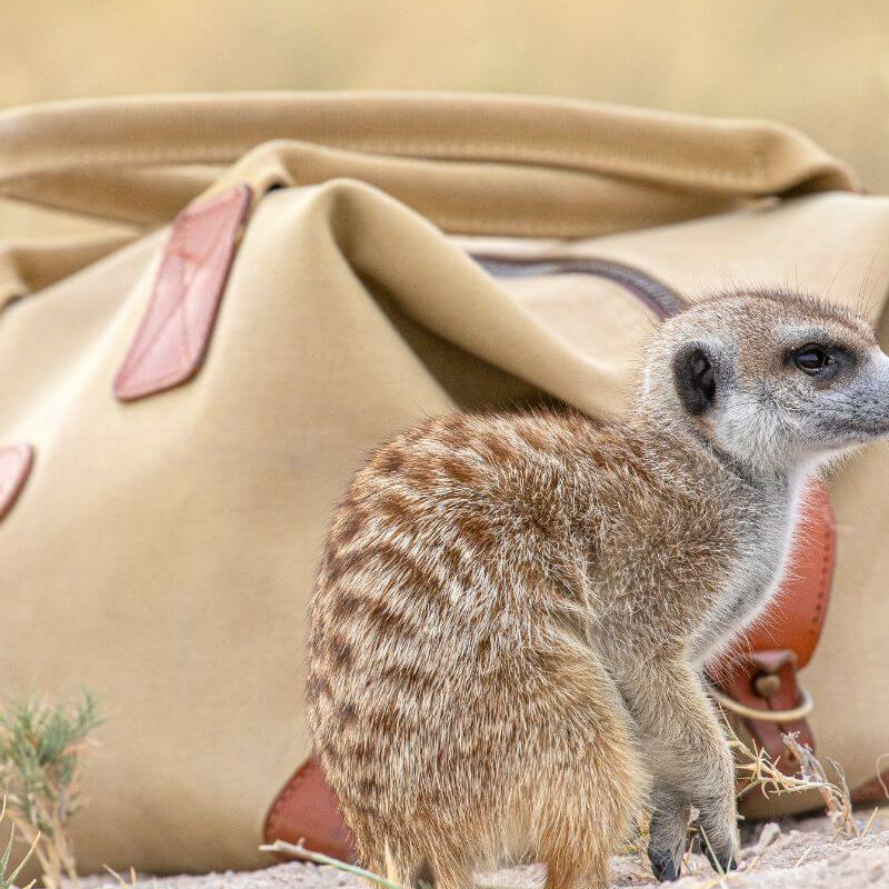 Makgadikgadi Pans