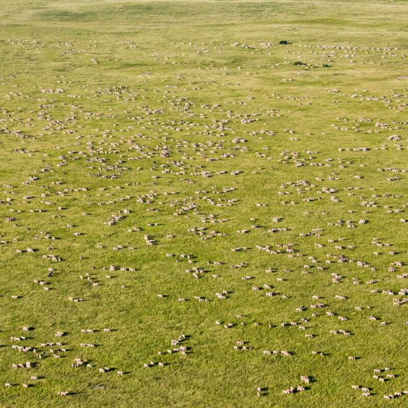 Makgadikgadi Pans