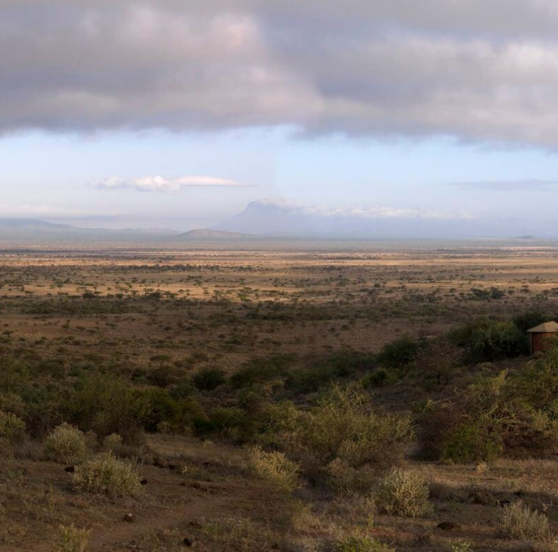 West Kilimanjaro