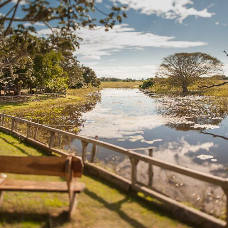 Araras Pantanal Eco Lodge