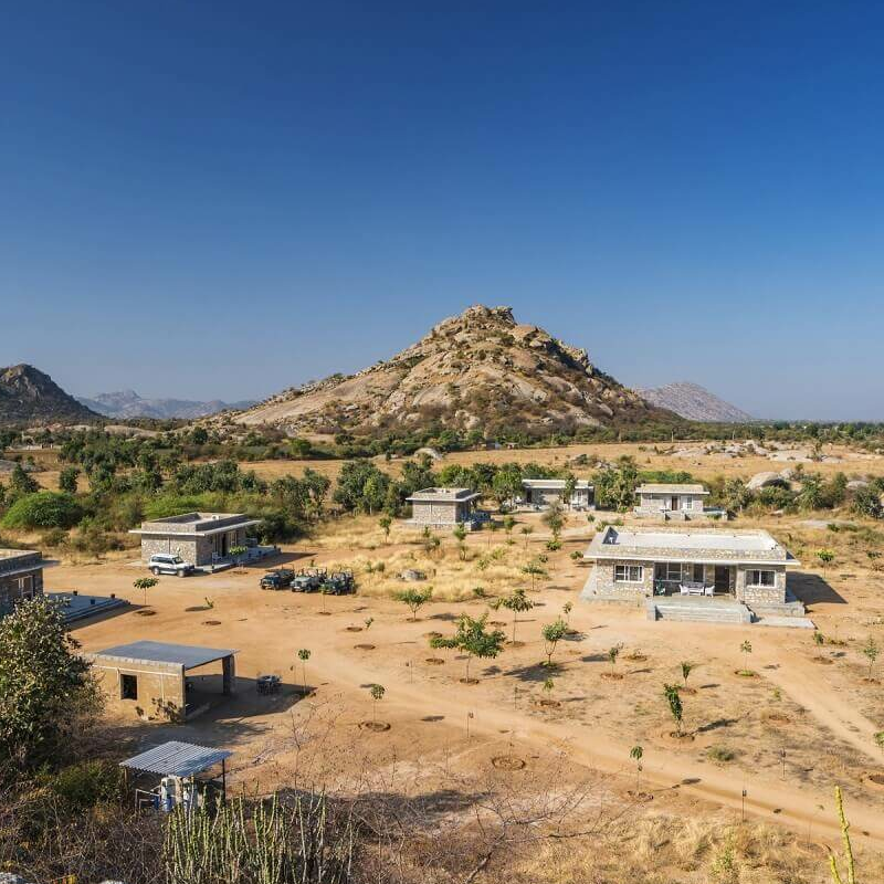 Bera Safari Lodge