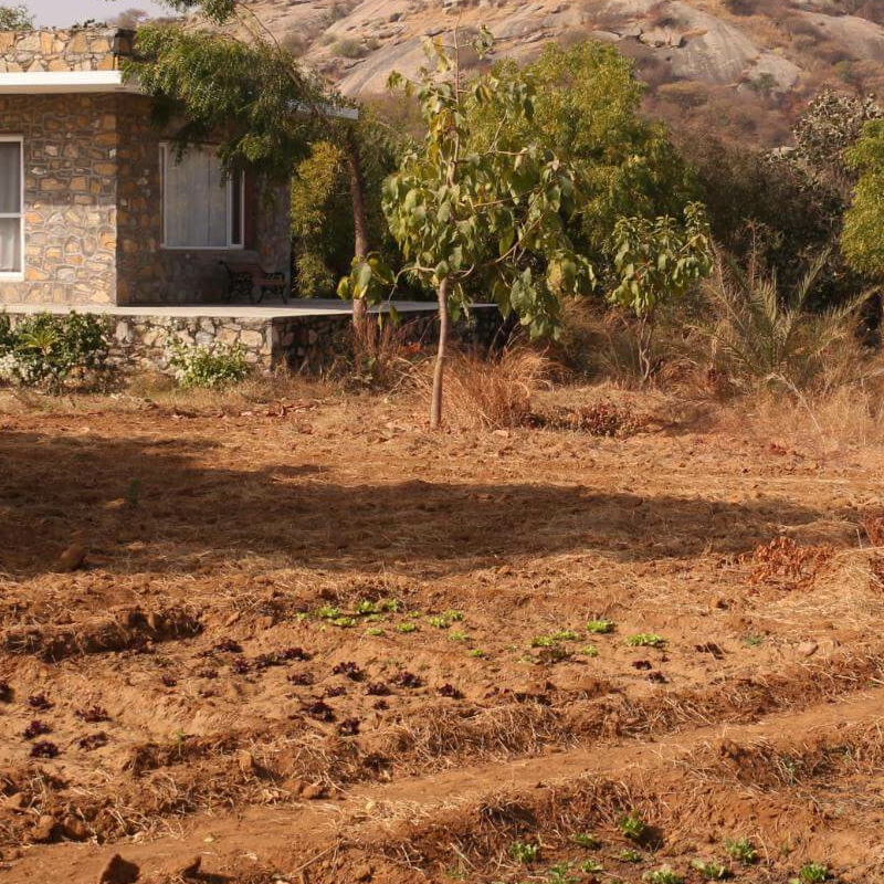 Bera Safari Lodge