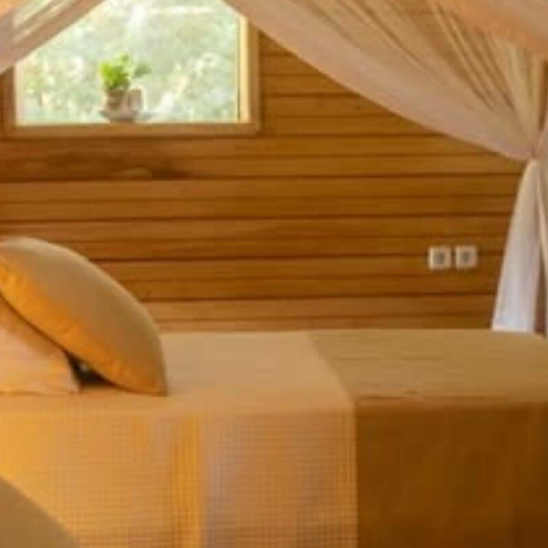 Doli Lodge