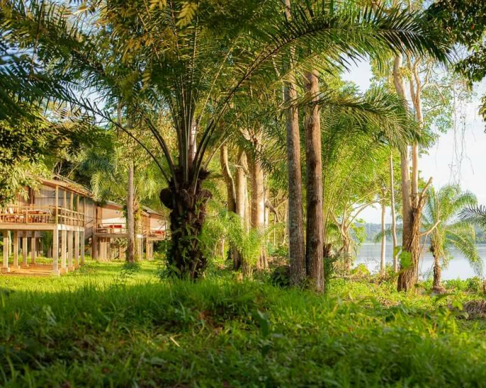 Doli Lodge