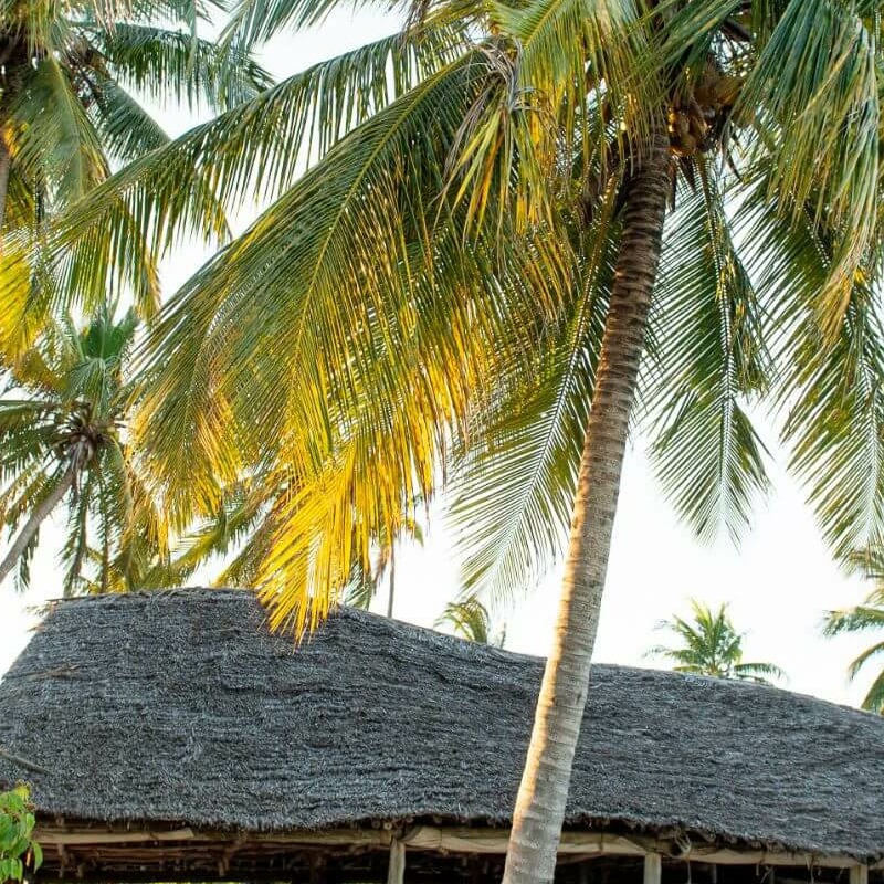 Emayani Beach Lodge