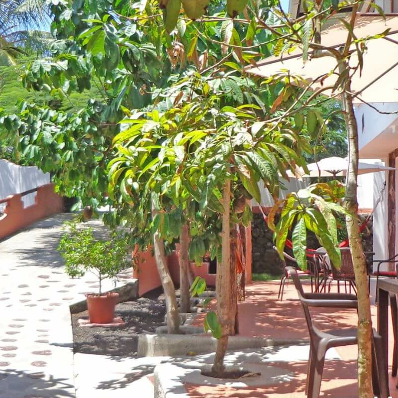 Floreana Lava Lodge