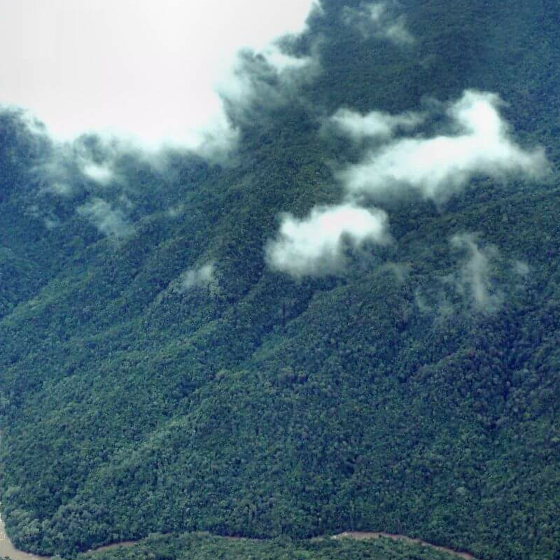Heart of Borneo