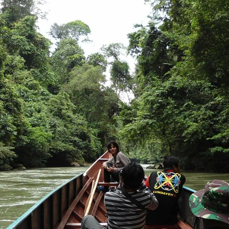 Heart of Borneo