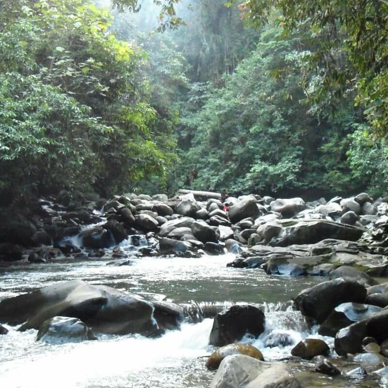 Heart of Borneo