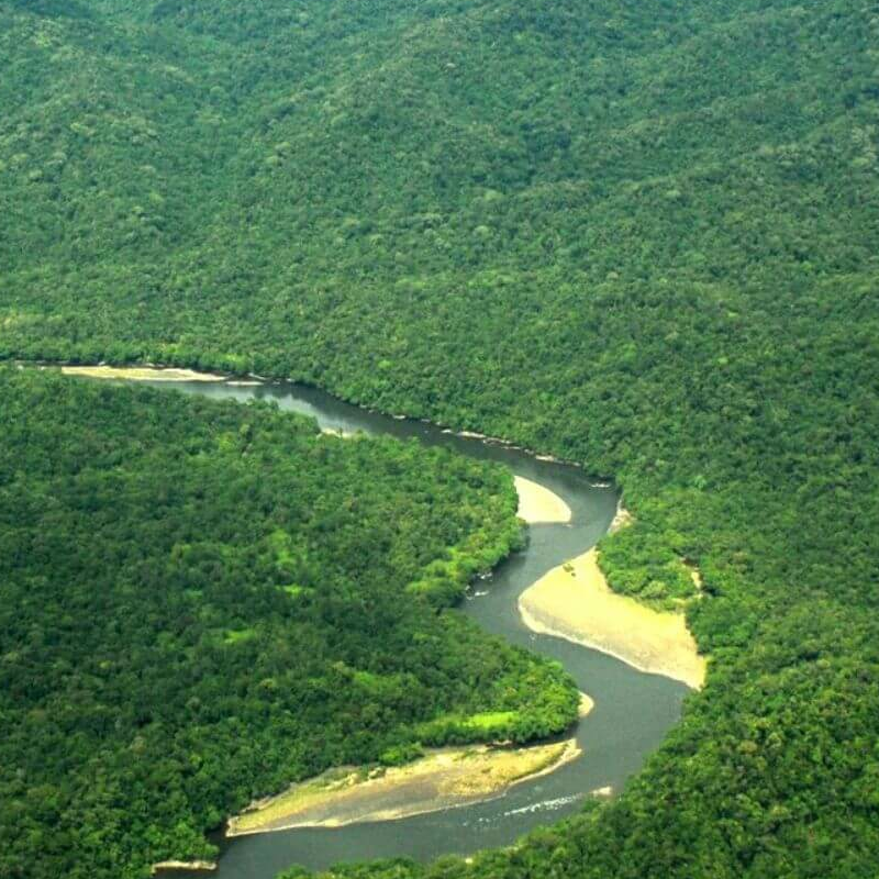 Heart of Borneo