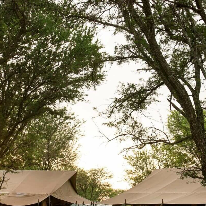 Kimondo Mara Camp