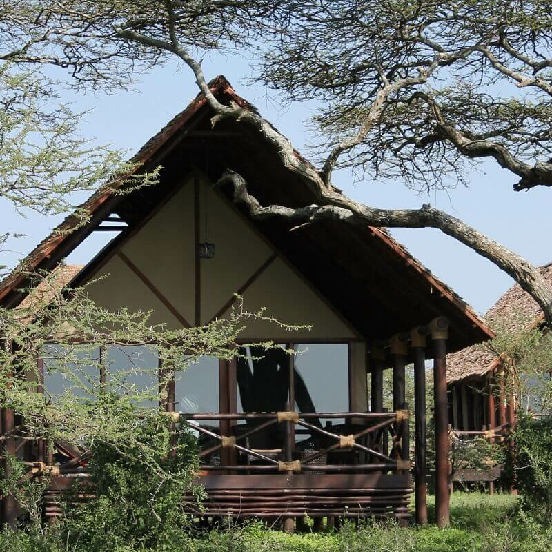Lake Ndutu Luxury Lodge