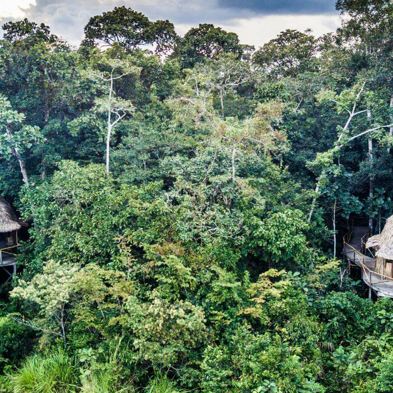 Lango Camp