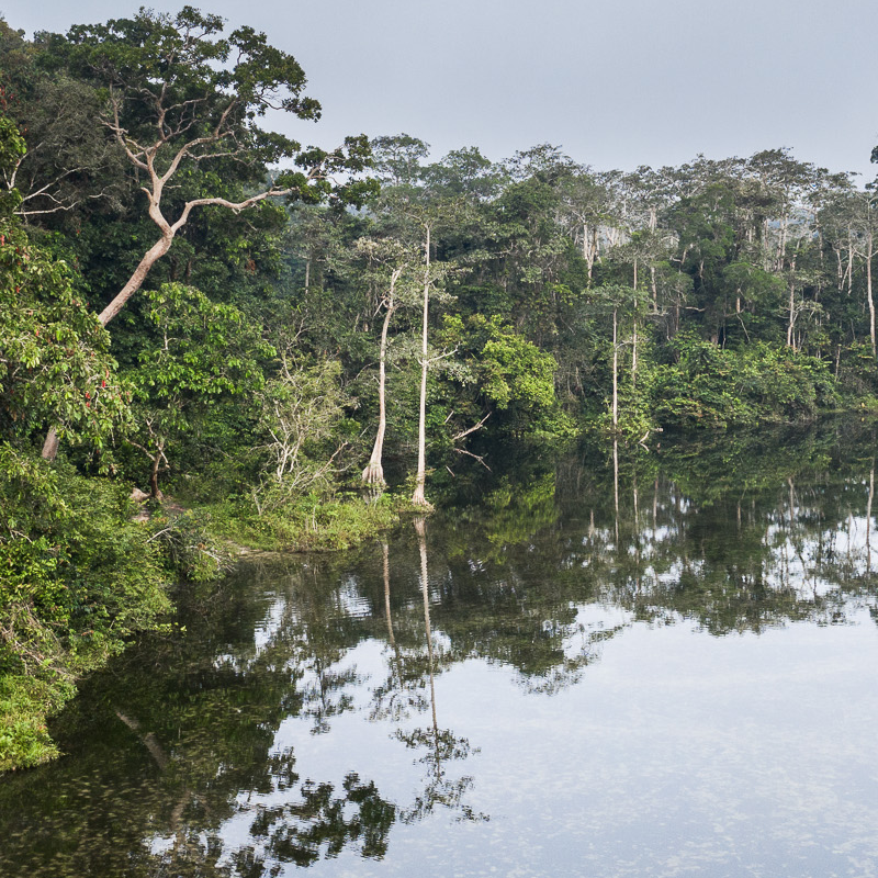 Mbeli Camp