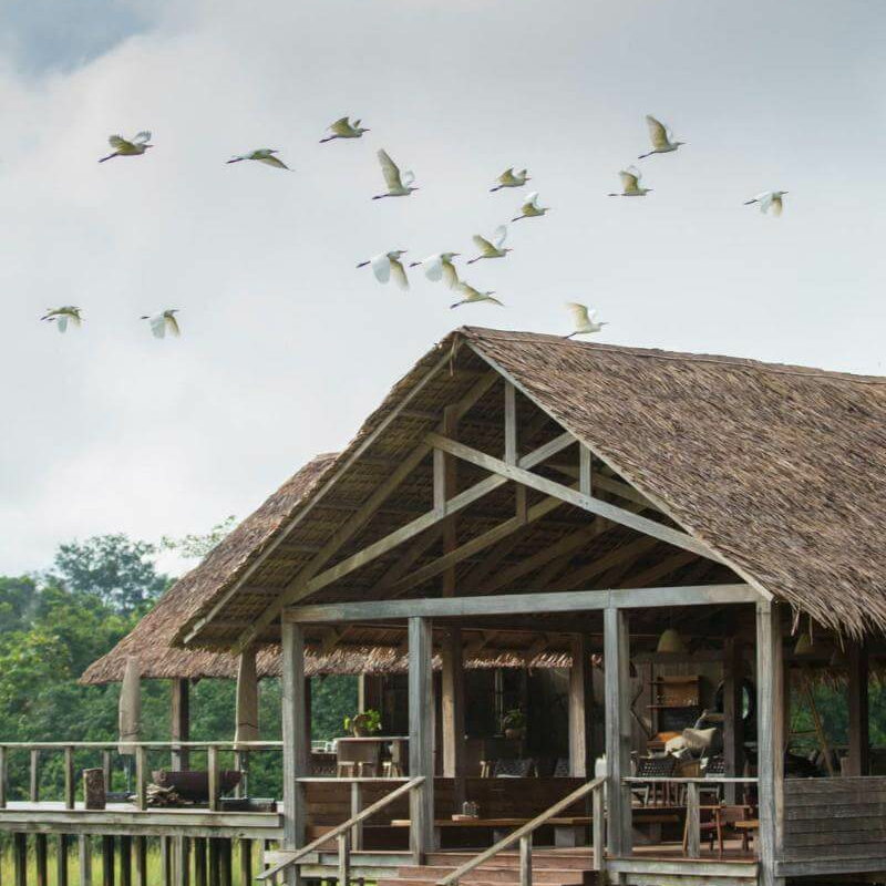 Mboko Camp