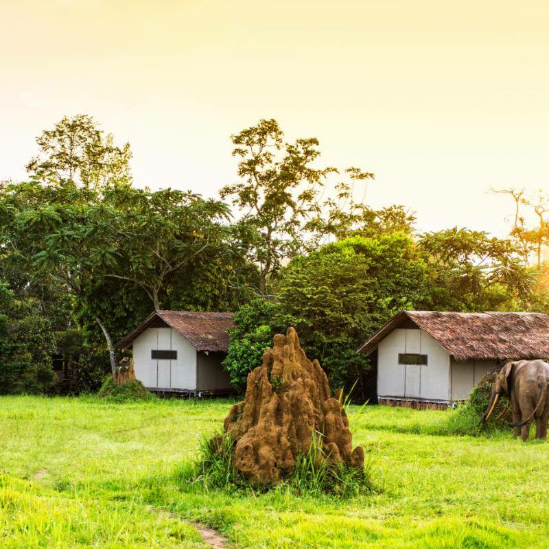 Mboko Camp