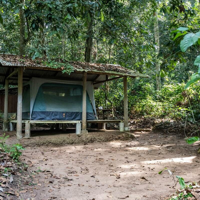 Mondika Camp