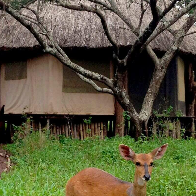Ndarakwai Ranch Camp
