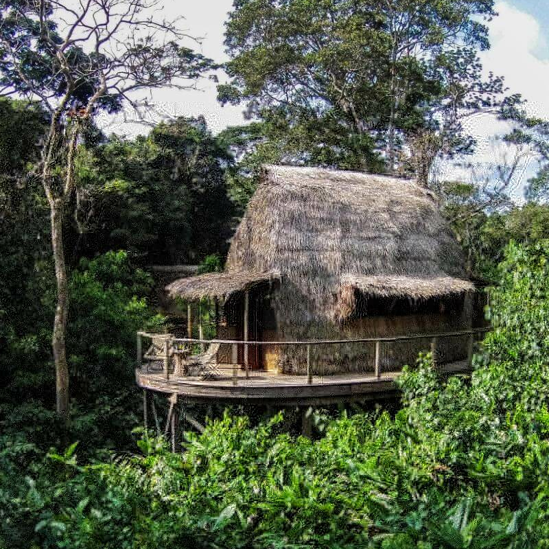 Ngaga Camp