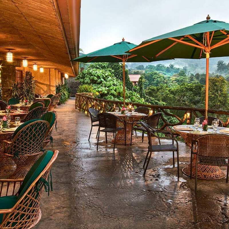 Peace Lodge
