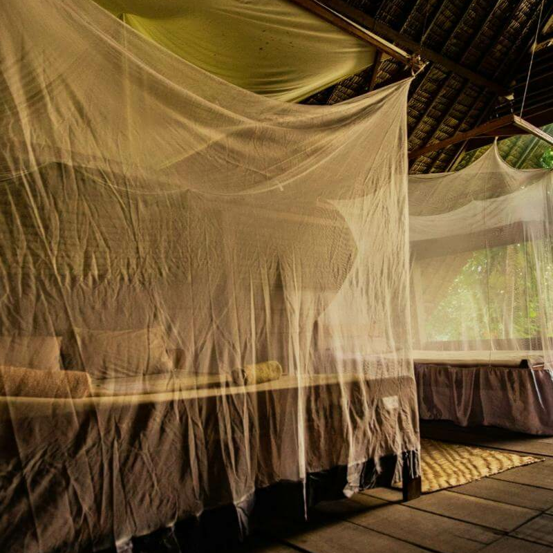 Sangha Lodge