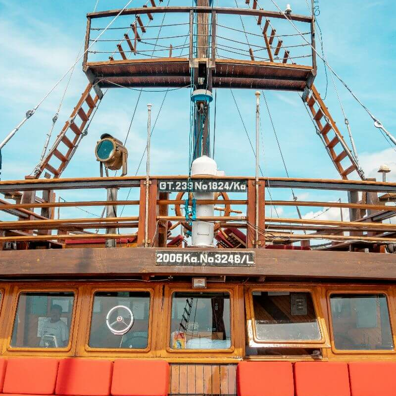 Sea Safari 8